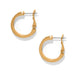 Love Knows Gold Hoop Earrings