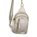 Silver Skyler Sling Bag